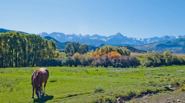 Outono no rancho — Fotografia de Stock