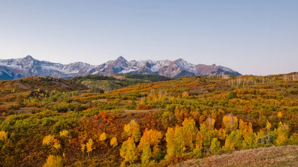 Dallas se divide en otoño — Foto de Stock