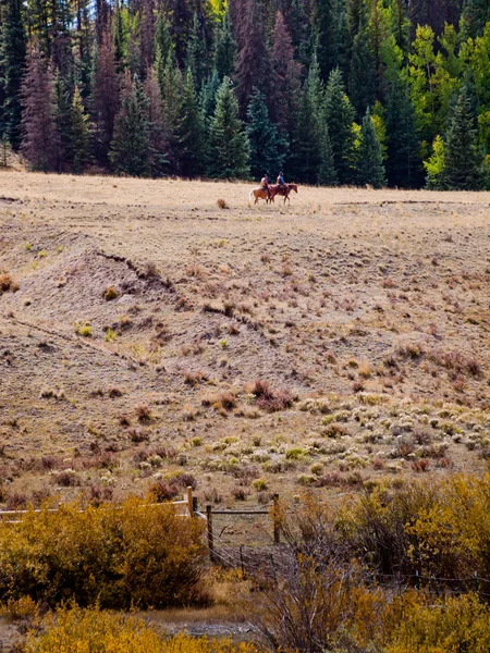 Dois cowboys — Fotografia de Stock