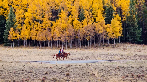 Dos vaqueros. — Foto de Stock