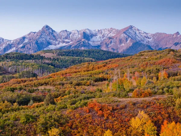 Dallas trennt sich im Herbst — Stockfoto