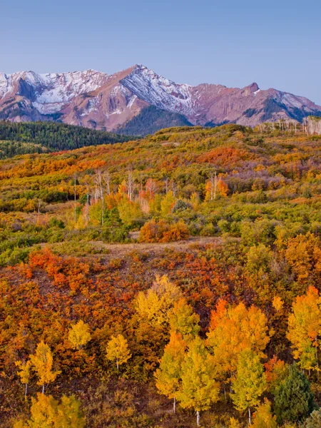 Dallas se divide en otoño — Foto de Stock