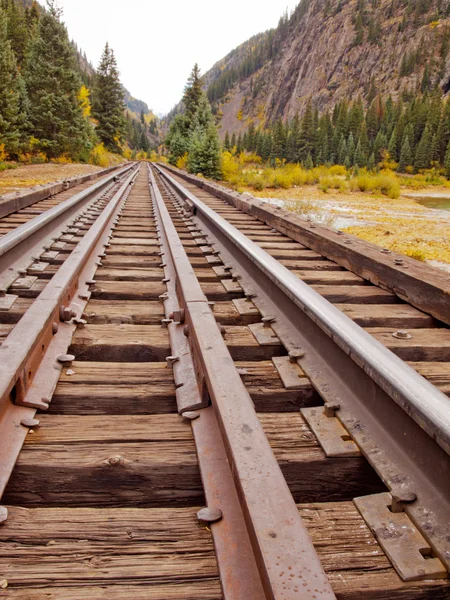 Railroad tracks — Stockfoto