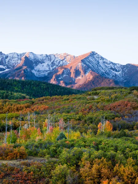 Dallas se divide en otoño — Foto de Stock