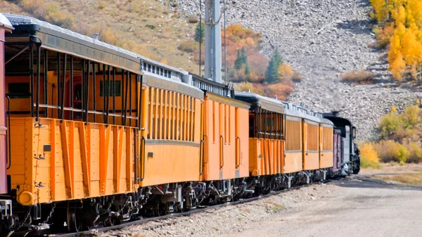 Treno a scartamento ridotto — Foto Stock