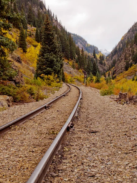 Railroad Tracks — Stock Photo, Image