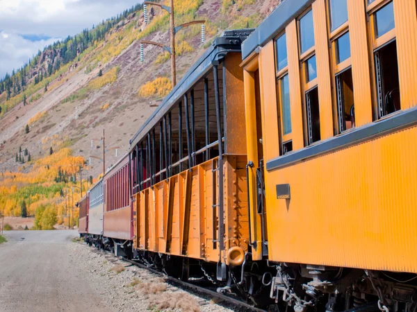 Tren de ancho estrecho — Foto de Stock