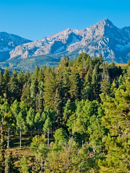 Даллас Розділяй восени — стокове фото