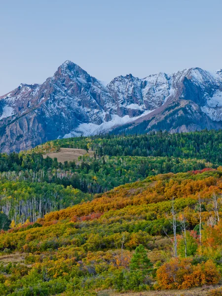 Dallas se divide en otoño — Foto de Stock