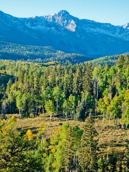 Dallas klyftan i höst — Stockfoto