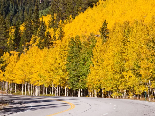 Autumn on the road — Stock Photo, Image