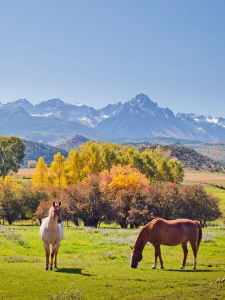 Autumn on the Ranch — Stock Photo, Image