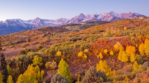 Dallas se divide en otoño — Foto de Stock