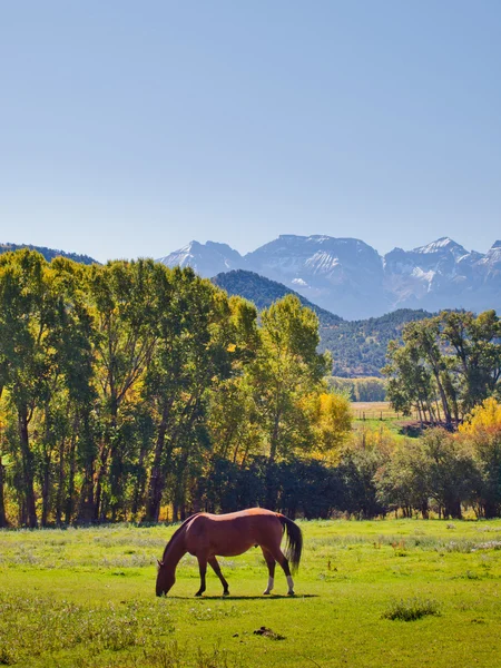 Herfst op de ranch — Stockfoto