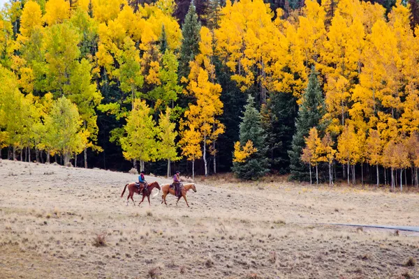 Zwei Cowboys — Stockfoto