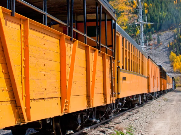 Smalspåriga tåget — Stockfoto