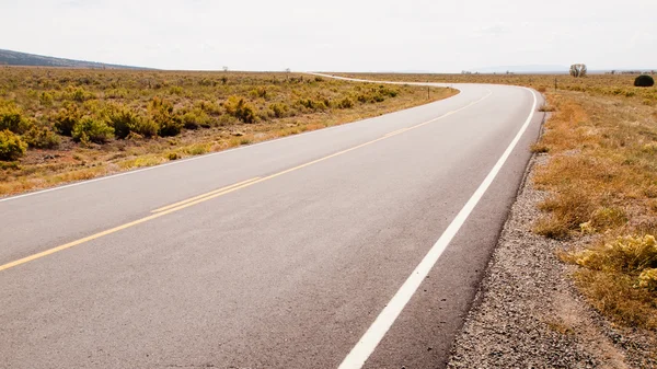 Camino dividido — Foto de Stock