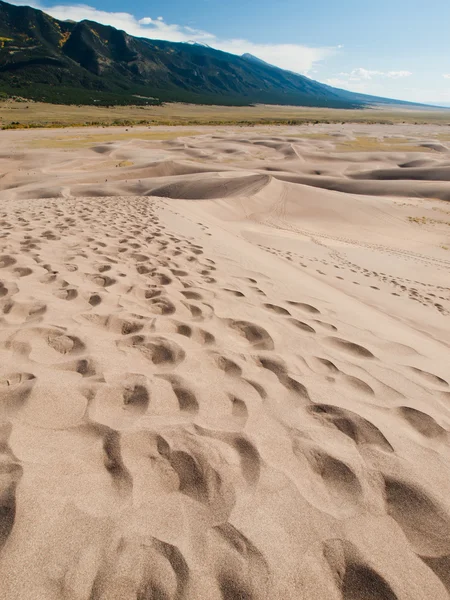 Wielkie wydmy — Zdjęcie stockowe