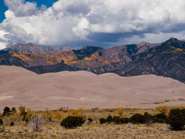 Grandes dunes de sable — Photo