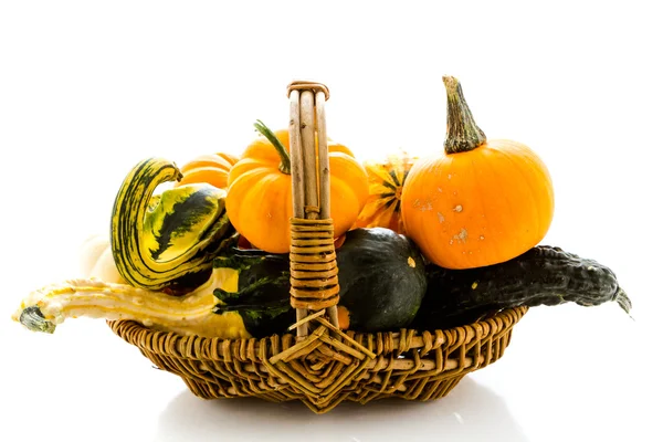 Mini pumpkins — Stock Photo, Image