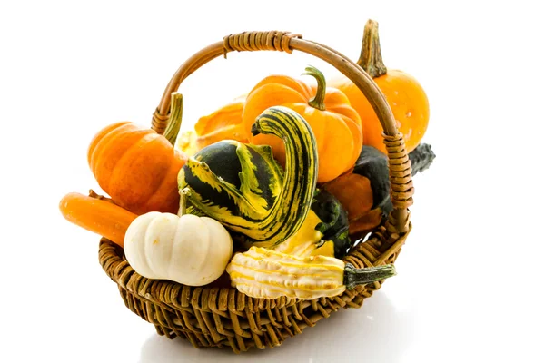 Mini pumpkins — Stock Photo, Image