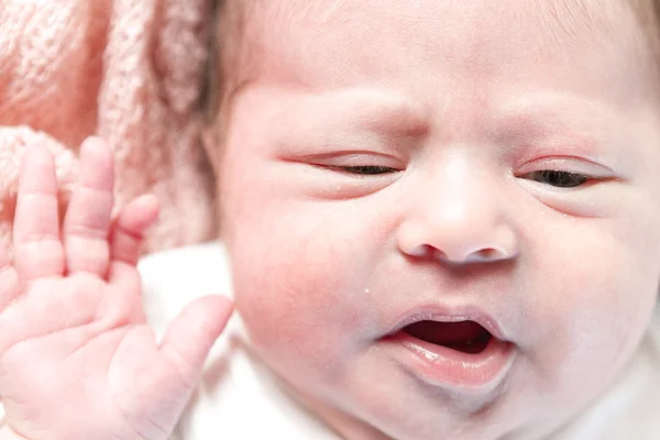 Newborn — Stock Photo, Image