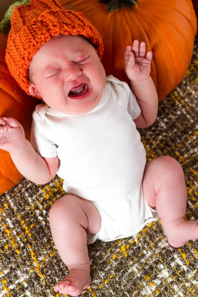 Newborn — Stock Photo, Image