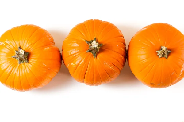 Orange pumpkins — Stock Photo, Image