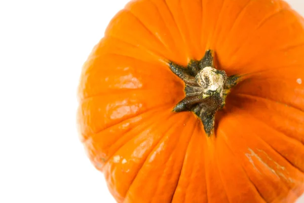 Oranje pompoenen — Stockfoto