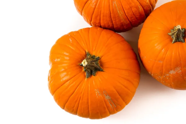 Oranje pompoenen — Stockfoto