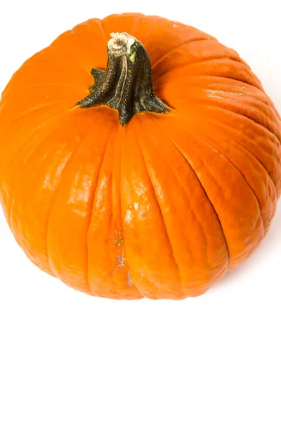 Orange pumpkins — Stock Photo, Image