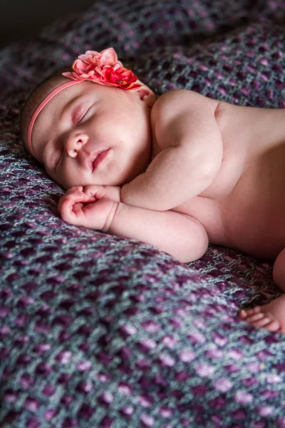 Newborn — Stock Photo, Image