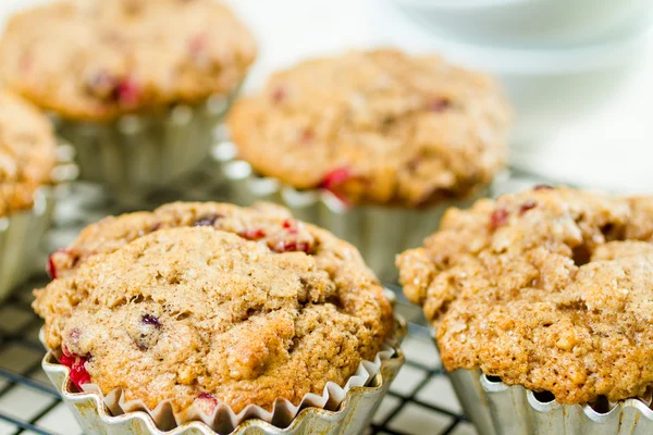 Crunberry muffin — Zdjęcie stockowe