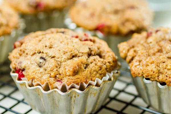 Crunberry muffin — Zdjęcie stockowe