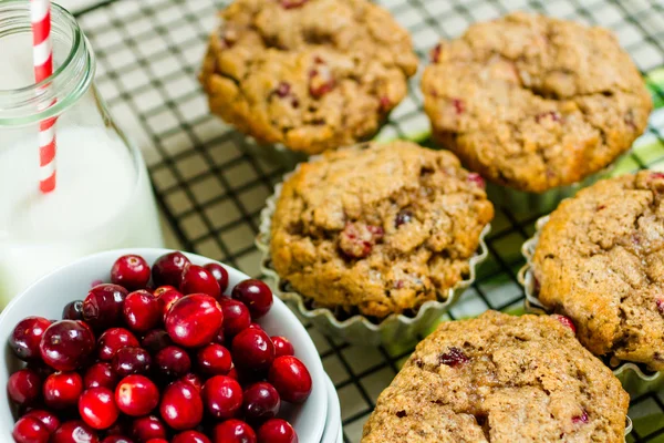 Crunberry muffin — Stock Photo, Image