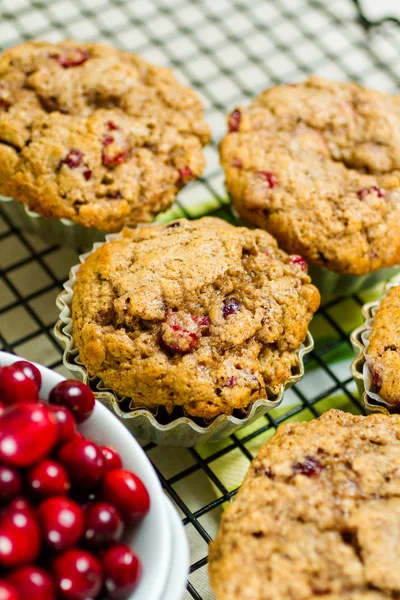 Crunberry muffin — Stock Photo, Image