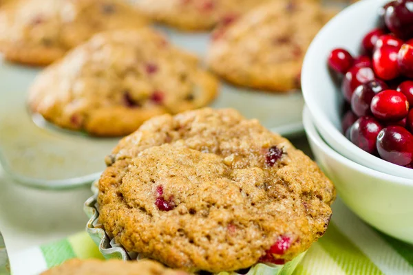 Crunberry muffin — Stock Photo, Image