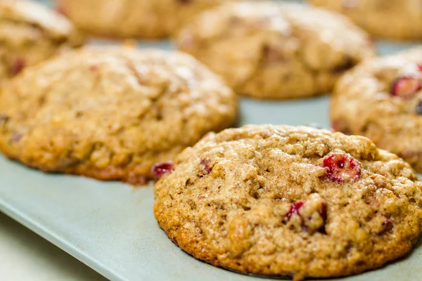 Crunberry muffin — Stockfoto