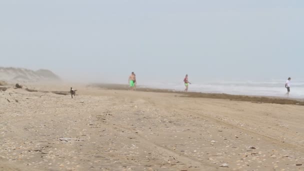 Plaża — Wideo stockowe