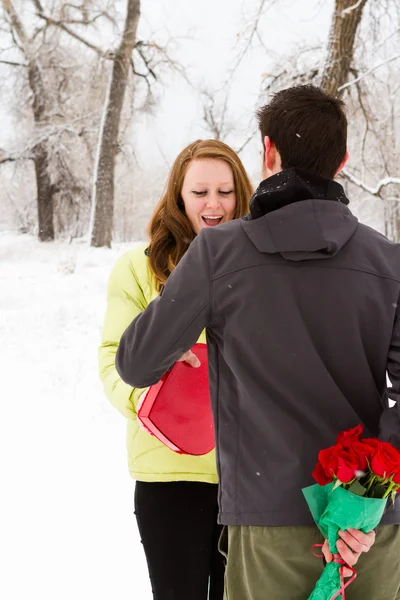 Valentijnsdag — Stockfoto