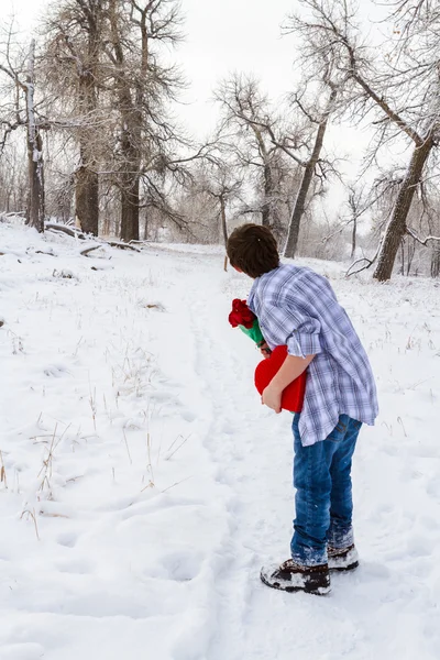 Valentines Day — Stock Photo, Image