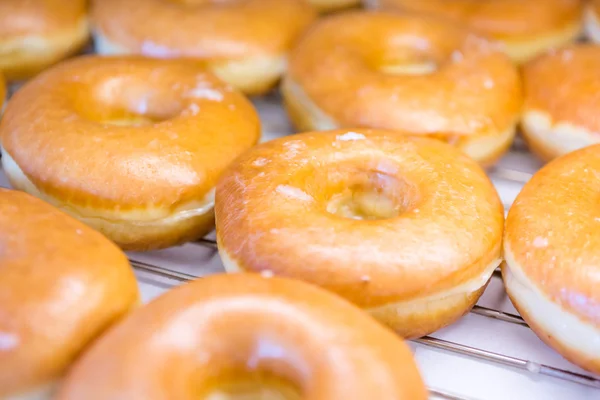 Doughnuts — Stock Photo, Image