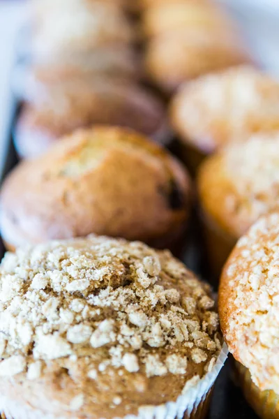 Muffins — Stock Photo, Image