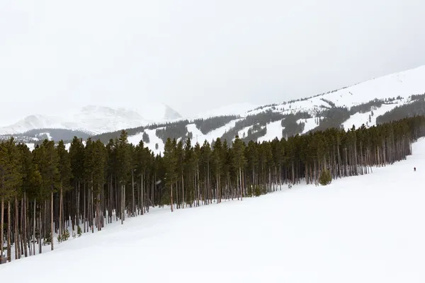 Skifahren — Stockfoto