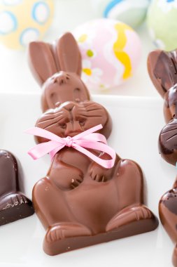 çikolata tavşanlar
