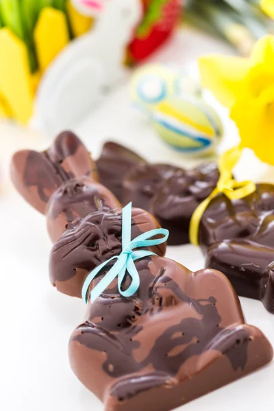 Chocolate bunnies — Stock Photo, Image