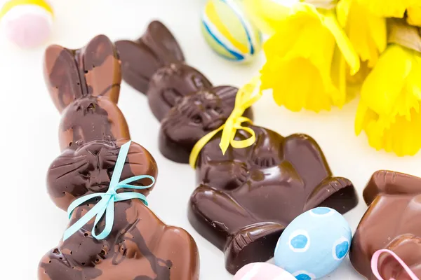 Chocolate bunnies — Stock Photo, Image