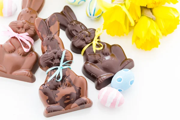 Zajączki z czekolady — Zdjęcie stockowe