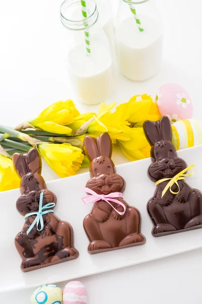Çikolata tavşanlar — Stok fotoğraf