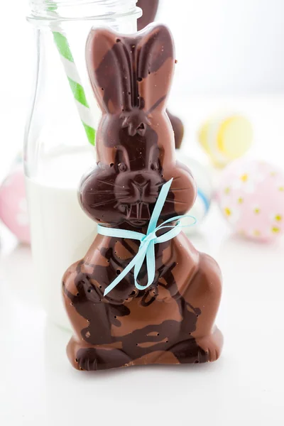 Chocolate bunnies — Stock Photo, Image